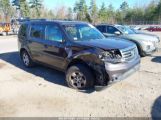 HONDA PILOT LX photo