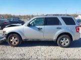 FORD ESCAPE XLT photo