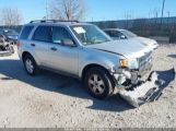 FORD ESCAPE XLT photo