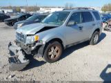 FORD ESCAPE XLT photo