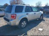 FORD ESCAPE XLT photo