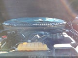FORD F-150 XLT 1FTEW1EF2GF****** photo