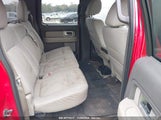 FORD F-150 FX2 SPORT/HARLEY-DAVIDSON/KING RANCH/LARIAT/PLATINUM/XL/XLT 1FTFW1CV3AF****** photo