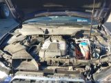 AUDI S5 3.0T PREMIUM PLUS WAUGGAFRXDA****** photo
