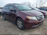 HONDA ODYSSEY EX-L снимка