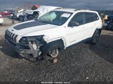 JEEP CHEROKEE TRAILHAWK 1C4PJMBB5GW****** fotografie