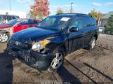 TOYOTA RAV4 JTMBF4DV8AD****** photo
