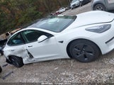 TESLA MODEL 3 REAR-WHEEL DRIVE 5YJ3E1EA5PF546696 снимка