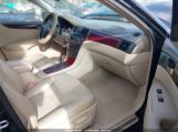 LEXUS ES 330 BASE (A5) снимка