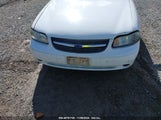 CHEVROLET MALIBU LS 1G1NE52J2Y6****** снимка