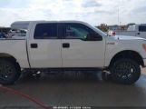 FORD F-150 XLT photo