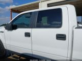 FORD F-150 XLT photo