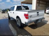 FORD F-150 XLT photo