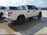 FORD F-150 XLT photo