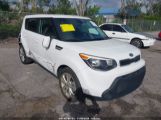 KIA SOUL + photo