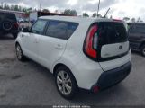 KIA SOUL + photo