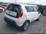 KIA SOUL + photo