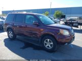 HONDA PILOT EX-L photo