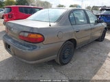 CHEVROLET MALIBU 1G1ND52T8X6****** снимка