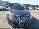 CADILLAC SRX LUXURY COLLECTION photo