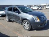 CADILLAC SRX LUXURY COLLECTION photo