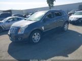 CADILLAC SRX LUXURY COLLECTION photo