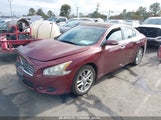 NISSAN MAXIMA 3.5 SV 1N4AA5AP9BC****** снимка