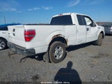 FORD F-150 XLT 1FTFX1CT5BF****** fotografie