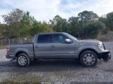 FORD F-150 PLATINUM photo