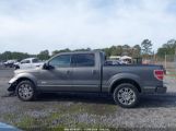 FORD F-150 PLATINUM photo