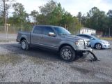 FORD F-150 PLATINUM photo