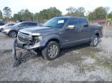 FORD F-150 PLATINUM photo