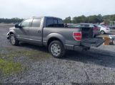 FORD F-150 PLATINUM photo