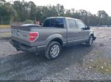 FORD F-150 PLATINUM photo