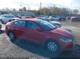 HYUNDAI ELANTRA SE photo