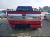 FORD F-150 FX4/HARLEY-DAVIDSON/KING RANCH/LARIAT/PLATINUM/XL/XLT photo