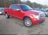 FORD F-150 FX4/HARLEY-DAVIDSON/KING RANCH/LARIAT/PLATINUM/XL/XLT photo