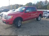 FORD F-150 FX4/HARLEY-DAVIDSON/KING RANCH/LARIAT/PLATINUM/XL/XLT photo