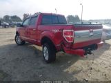 FORD F-150 FX4/HARLEY-DAVIDSON/KING RANCH/LARIAT/PLATINUM/XL/XLT photo