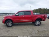 FORD F-150 FX4/HARLEY-DAVIDSON/KING RANCH/LARIAT/PLATINUM/XL/XLT photo