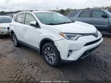 TOYOTA RAV4 HYBRID XLE JTMRJREV2HD065434 fotografie
