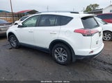 TOYOTA RAV4 HYBRID XLE JTMRJREV2HD065434 fotografie
