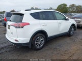 TOYOTA RAV4 HYBRID XLE JTMRJREV2HD065434 photo