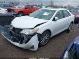 TOYOTA CAMRY XLE photo