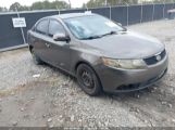 KIA FORTE EX photo