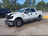 FORD F-150 FX2 SPORT/HARLEY-DAVIDSON/KING RANCH/LARIAT/PLATINUM/XL/XLT 1FTFW1CV7AF****** photo