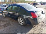 NISSAN MAXIMA 3.5 SE photo