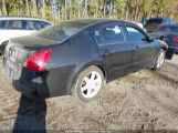 NISSAN MAXIMA 3.5 SE 1N4BA41E44C****** fotografie