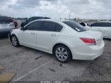 HONDA ACCORD 3.5 EX-L photo