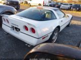 CHEVROLET CORVETTE photo